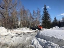 В сквере рядом с АлтГУ заметили строительную технику (фото)