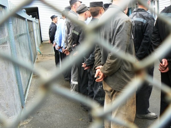 В Новосибирске бывшего начальника исправительной колонии лишили свободы