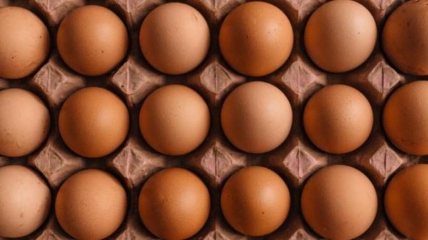 Медики рассказали, сколько яиц можно съедать без вреда для здоровья