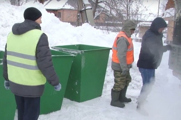 В алтайском селе люди устроили из мест накопления мусора скотомогильники