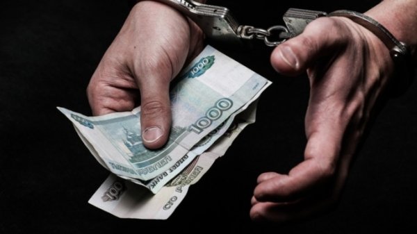 Животные, взятка, уголовное дело. Новосибирского водителя осудят на Алтае