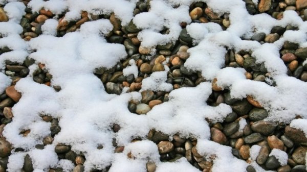 Высота снега в Алтайском крае стремительно уменьшается