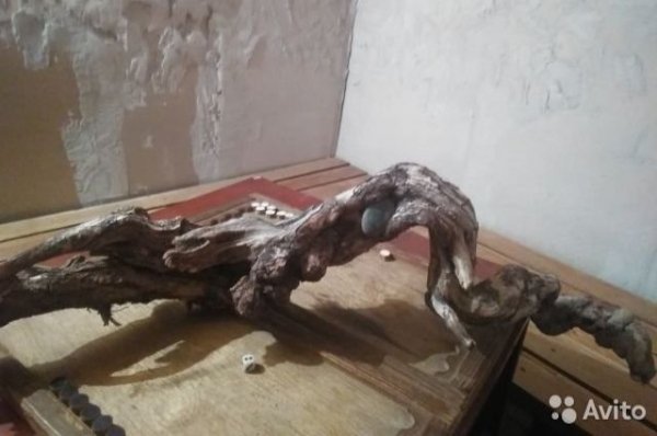 Бийчанка продает кусок дерева за 2 млн рублей