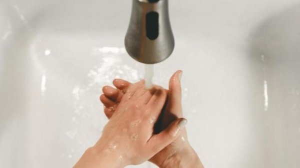 Иммунолог рассказал о пользе мыла в борьбе с коронавирусом