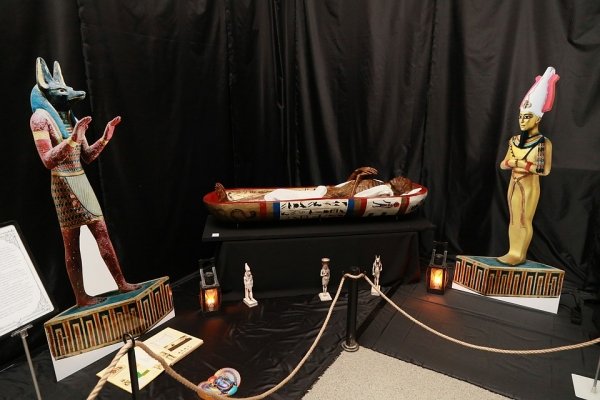 Черепа с рогами и египетская мумия: в Барнауле работает жуткая выставка