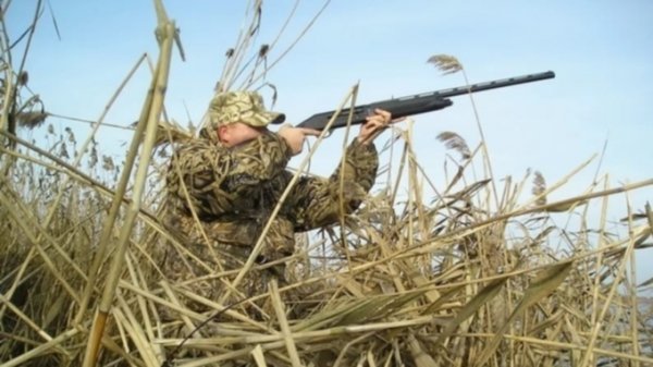 Два охотничьих хозяйства на Алтае лишили лицензии