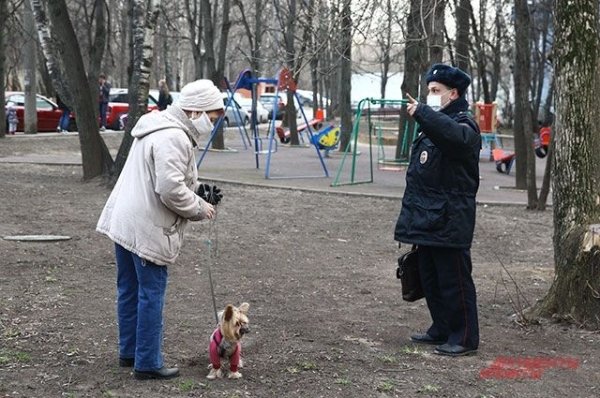 Не выходи из комнаты: на Алтае действует обязательный режим самоизоляции