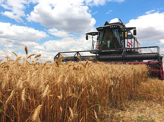 Банк "Открытие": "Пшеница в 2021 году будет стоить больше 14 тысяч рублей за тонну"