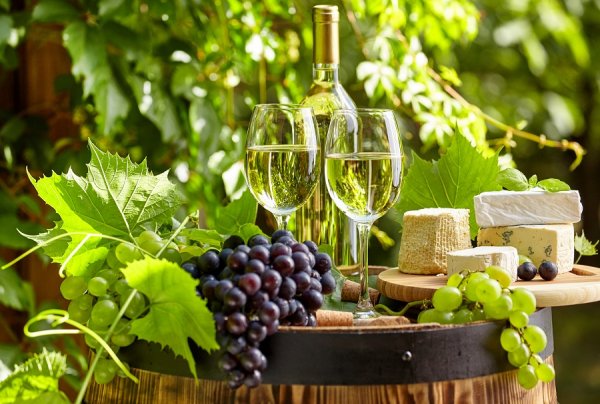 Рост цен на виноград и вино на 30% прогнозируют в России