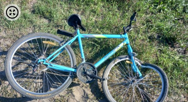 Автомобилист сбил трёх девочек на велосипедах в Алтайском крае