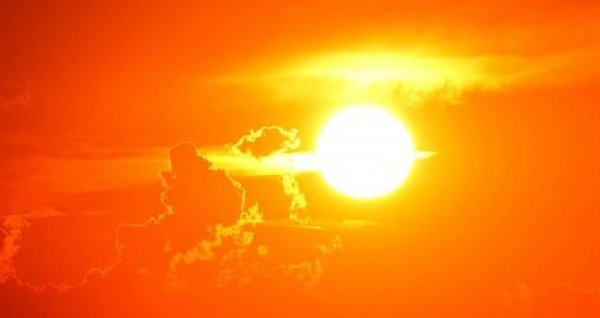 Аномальная жара: в Алтайском крае объявили штормовое предупреждение