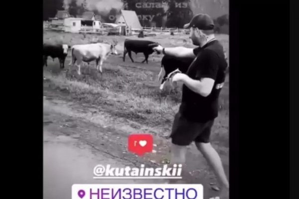 Алтайские полицейские нашли героя скандального видео со стрельбой в коров