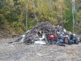 Барнаульский водопад почистили от мусора