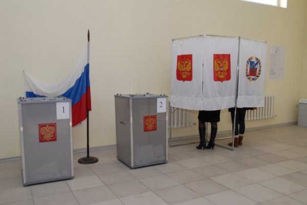 Что нового будет на выборах и как избирателю Алтайского края узнать, за кого и где голосовать