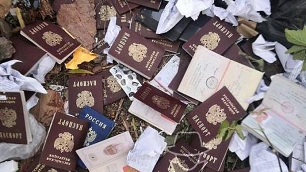 Десятки выброшенных паспортов обнаружили на одной из свалок в Барнауле