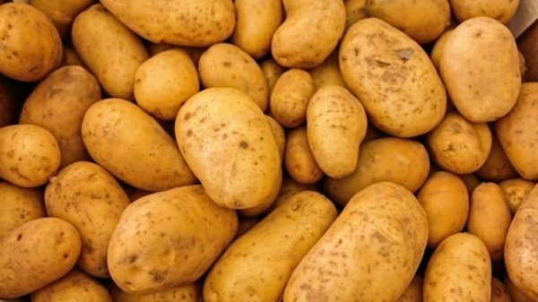Диетолог рассказал о самых опасных способах поедания картофеля