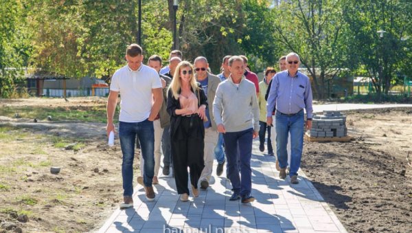 Глава Барнаула в солнечный выходной прогулялся по Мизюлинской роще и принял решение снести три опасных тополя