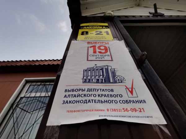 Глава избиркома прокомментировала судебные дела на выборах в Алтайском крае