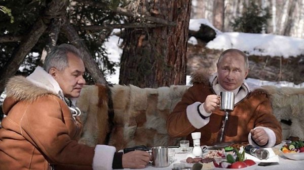 Иностранные политики восхитились красивой переводчицей Путина