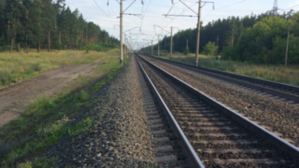 Поезд насмерть сбил молодого человека в Алтайском крае