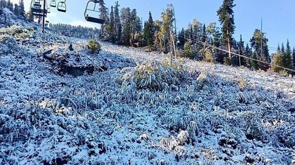 "Ждёте зиму?" Первый снег выпал в окрестностях Телецкого озера на Алтае
