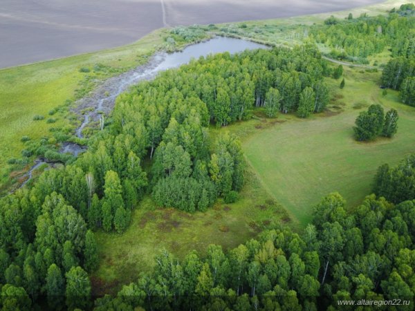 Четыре новых памятника природы созданы в Алтайском крае