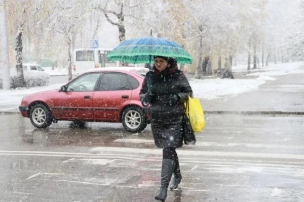 Дожди с мокрым снегом и до -7 градусов: какой будет погода на выходных в Алтайском крае