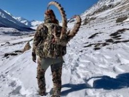 Фото охотников с убитым козерогом вызвало гнев жителей Алтая