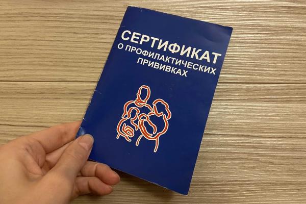 Коронавирус в Алтайском крае, последние новости на 28 октября 2021: QR-код и новые пункты вакцинации - KP.Ru