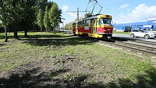 Новые трамваи и маршруты: общественники придумали, как спасти транспорт в Барнауле