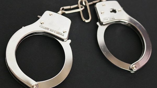 Подозреваемая в истязании четырех мальчиков в алтайском селе отправили под домашний арест