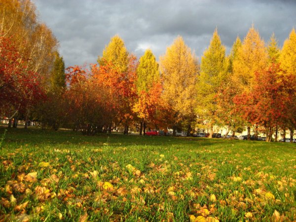 Погода 15 октября в Алтайском крае: без осадков и до +17 градусов