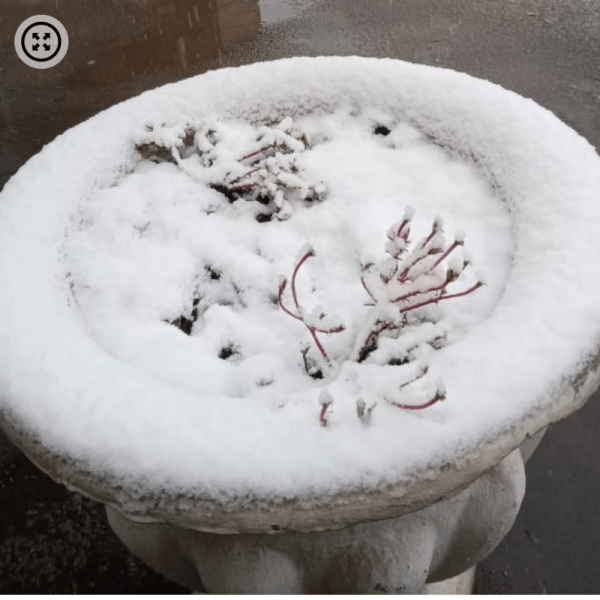 Рубцовчане делятся в соцсетях фотографиями первого снега