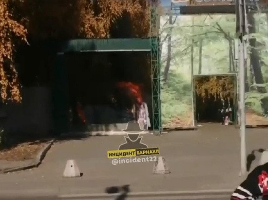 В барнаульском парке «Лесная сказка» сгорела шашлычная