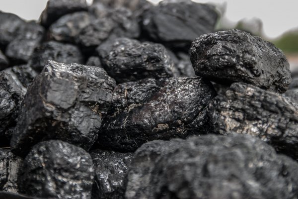 Алтайским муниципалитетам посоветовали перейти на местный уголь