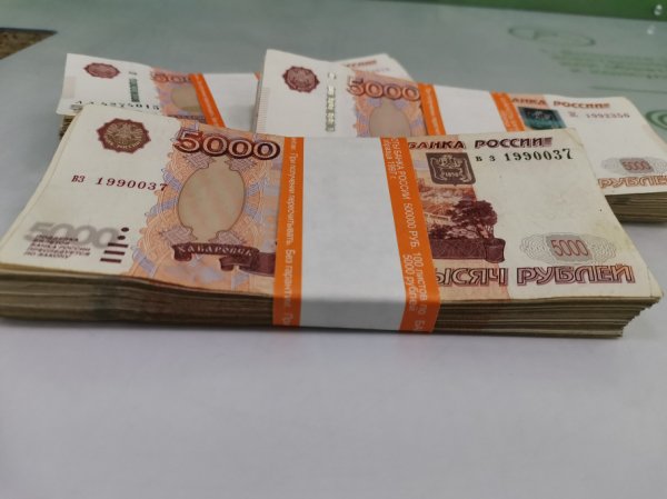 Число липовых банкнот вросло в полтора раза в 2021 году на Алтае