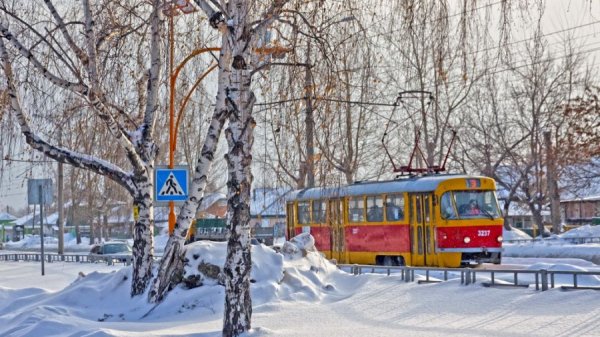 Как в Барнауле изменятся тарифы на проезд в общественном транспорте. Инфографика