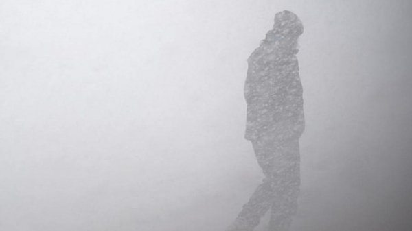 Метель и похолодание до нуля градусов. О погоде в Алтайском крае 13 ноября