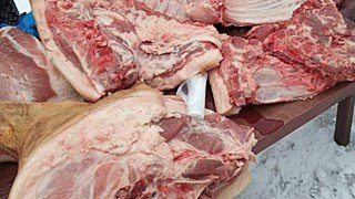 Мясо через WhatsApp. Депутат оценил последствия новых правил убоя скота на Алтае