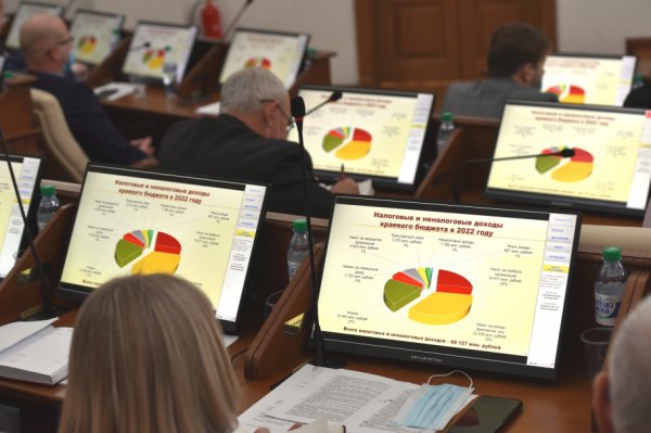 Почему часть депутатов не поддержала бюджет Алтайского края на 2022 год