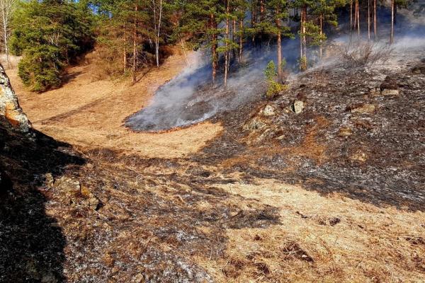 Почти 1 млн рублей заплатил житель Алтая за пожар в лесу - KP.Ru