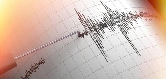 Почти 5 баллов: В Новосибирской области произошло сильное землетрясение