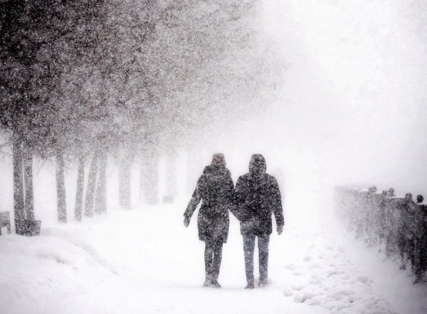 Погода 18 ноября в Алтайском крае: похолодание, снег и ветер