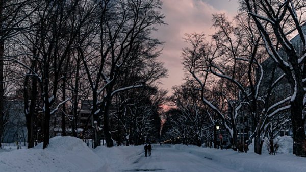 Такой день. Снежный городок за 8 миллионов в Барнауле и ухудшение эпидобстановки на Алтае
