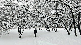 Такой день. Увеличение минимальных зарплат и сильные снегопады в Алтайском крае