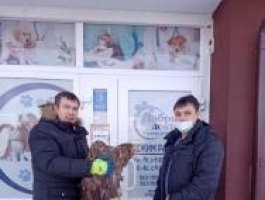 Барнаульские врачи спасают двоих пернатых