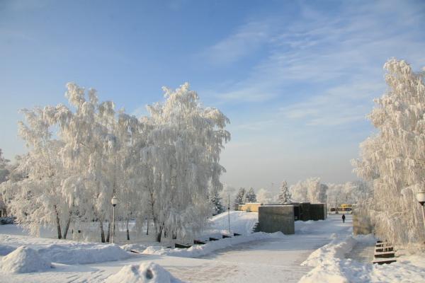 На выходных погода в Алтайском крае будет неустойчивой - KP.Ru