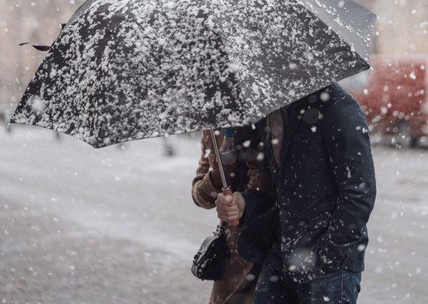 Погода 3 декабря в Алтайском крае: потепление, мокрый снег и ветер