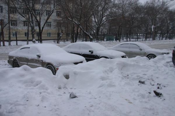 Потепление до +3 градусов и снег прогнозируют в Алтайском крае - KP.Ru
