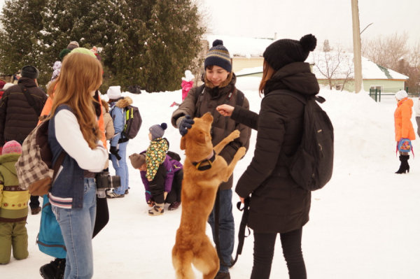 «Уезжайте отсюда»: в частном секторе Барнаула разгорелся нешуточный скандал вокруг строительства приюта для собак